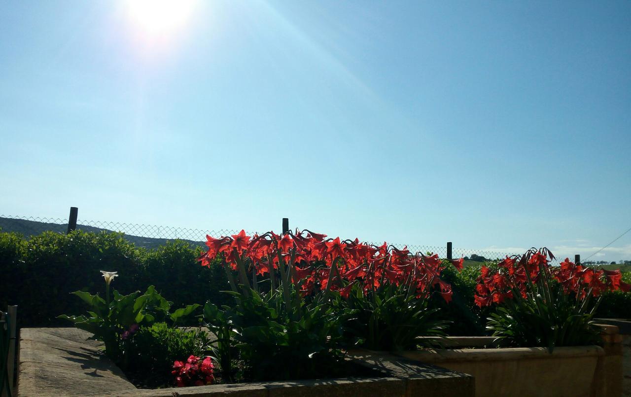 Agriturismo Boschetto Di Montiano Montiano  Exterior photo